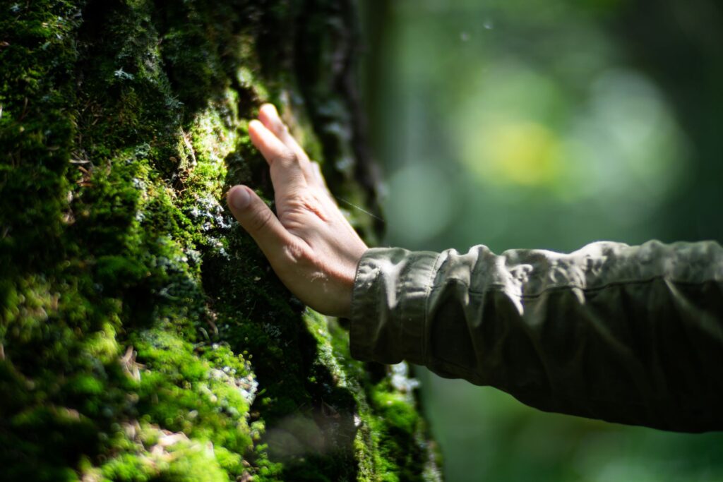 Hand auf moosbedecktem Baum, Naturgefühl